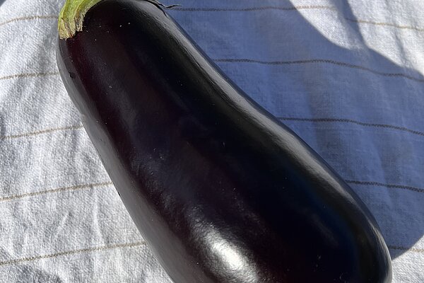 Optisch ansprechend - kulinarisch vielseitig: Aubergine | © Tartuffel